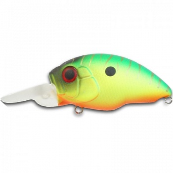 _2Wj2_Kh-8HFFaAchexvrvBxvF_enl