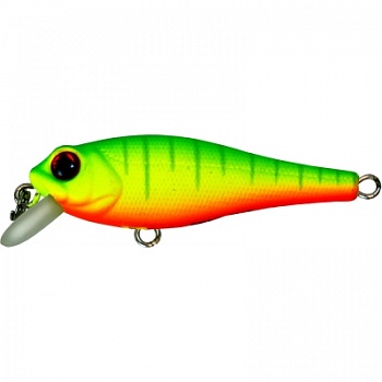 FDRRnyRN7SHP2payT4IiFPFsJy_enl