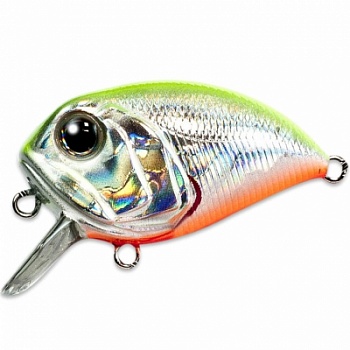 0o3DKtsw0wkoWXPlG3r9u16Fdk_enl