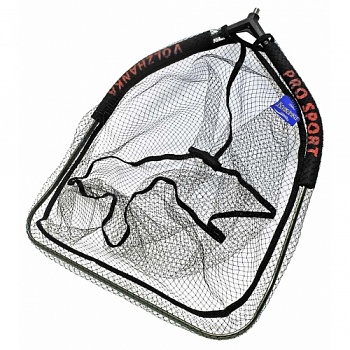 golovasportlog-500x500